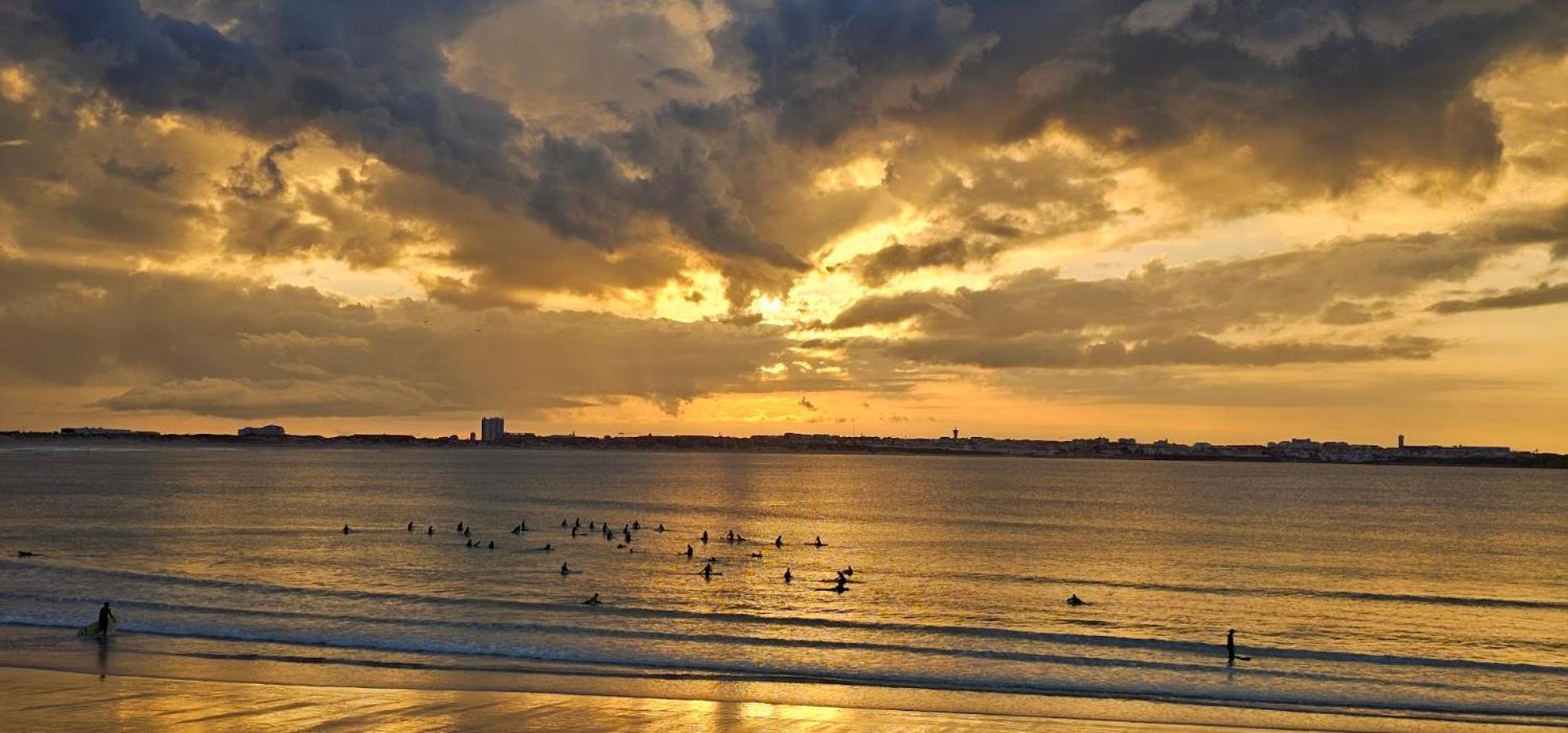 فندق Surf House Helena باليال المظهر الخارجي الصورة